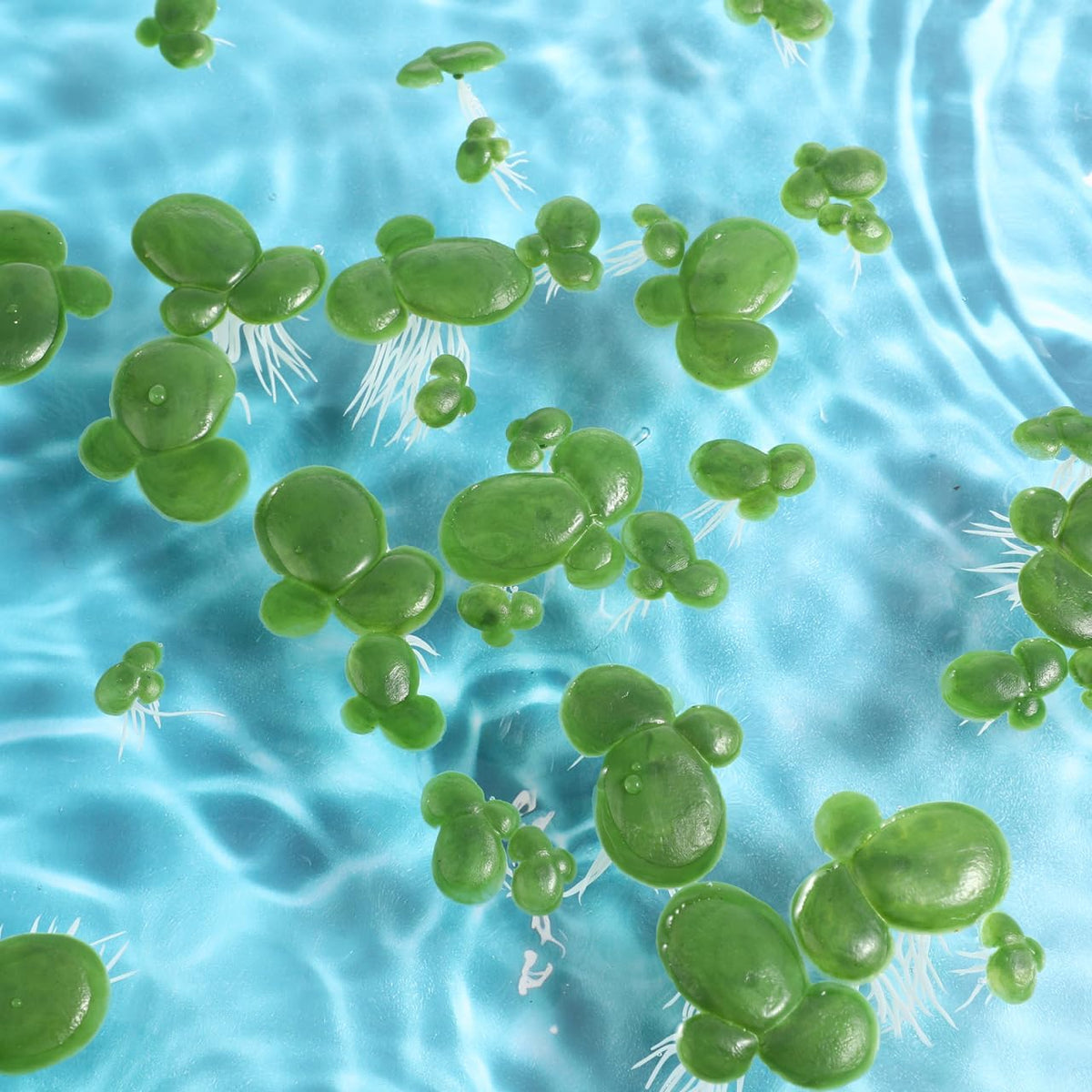36Pcs Floating Aquarium Plants Artificial Duckweed Plant Decor Plastic Duckweed Ornament for Fish Tank Simulated Water Plant for Shade and Aquarium D Cor