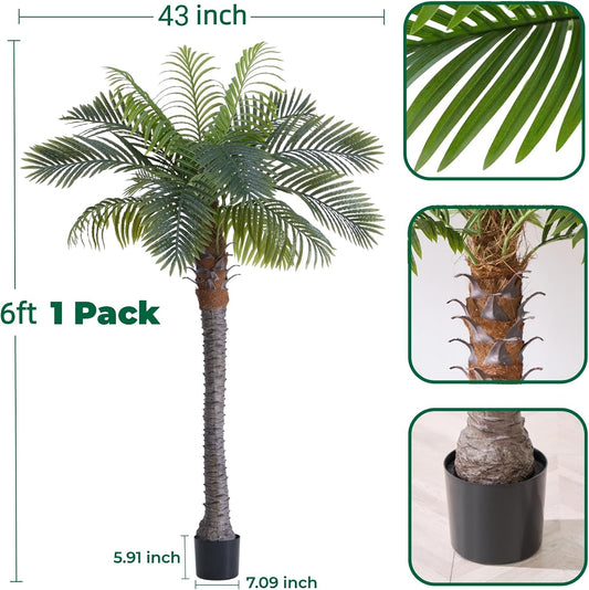 6FT Artificial Coconut Palm Tree Set of 2, UV Resistant Faux Sago Palm Plants for Indoor Outdoor, Realistic Large Tropical Decor for Home Office Patio Poolside Garden, Ready to Use in Cement Pot