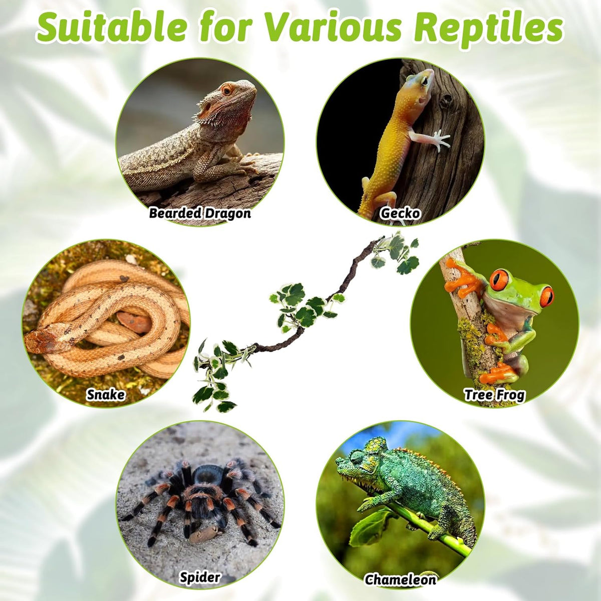 Flexible Bend-A-Branch Jungle Climbing Vines Suction Branch Reptile Tank Accessories Pet Habitat Decor Reptile Plants Terrarium for Leopard Gecko, Lizard, Snake, Chameleon, Frog (Green)