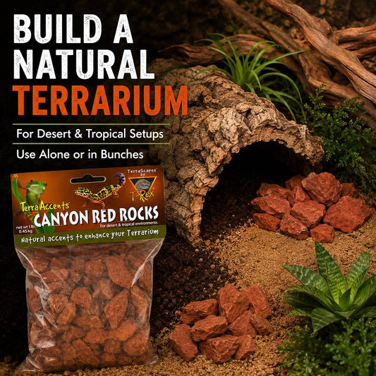 T-Rex Reptile Terrarium Décor -Terra Accents Canyon Red Rocks
