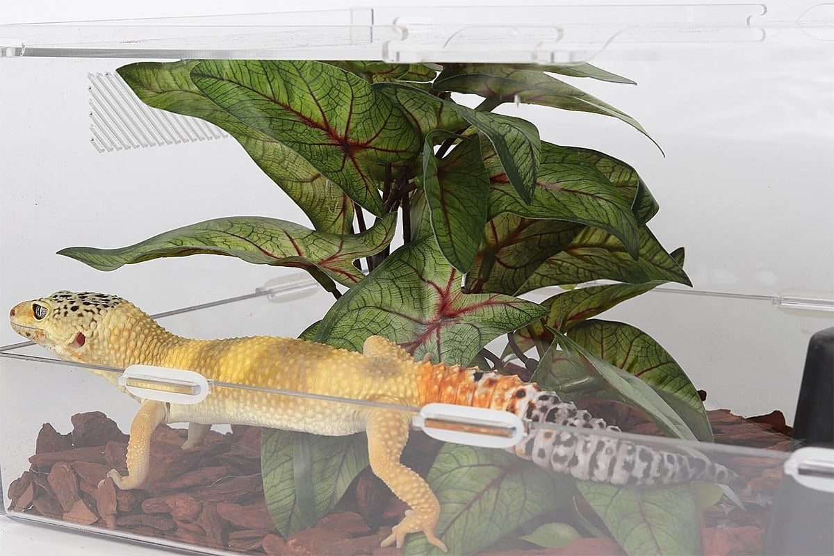 Fake Sweet Potato Vine Reptile Plants for Terrarium Tank Décor