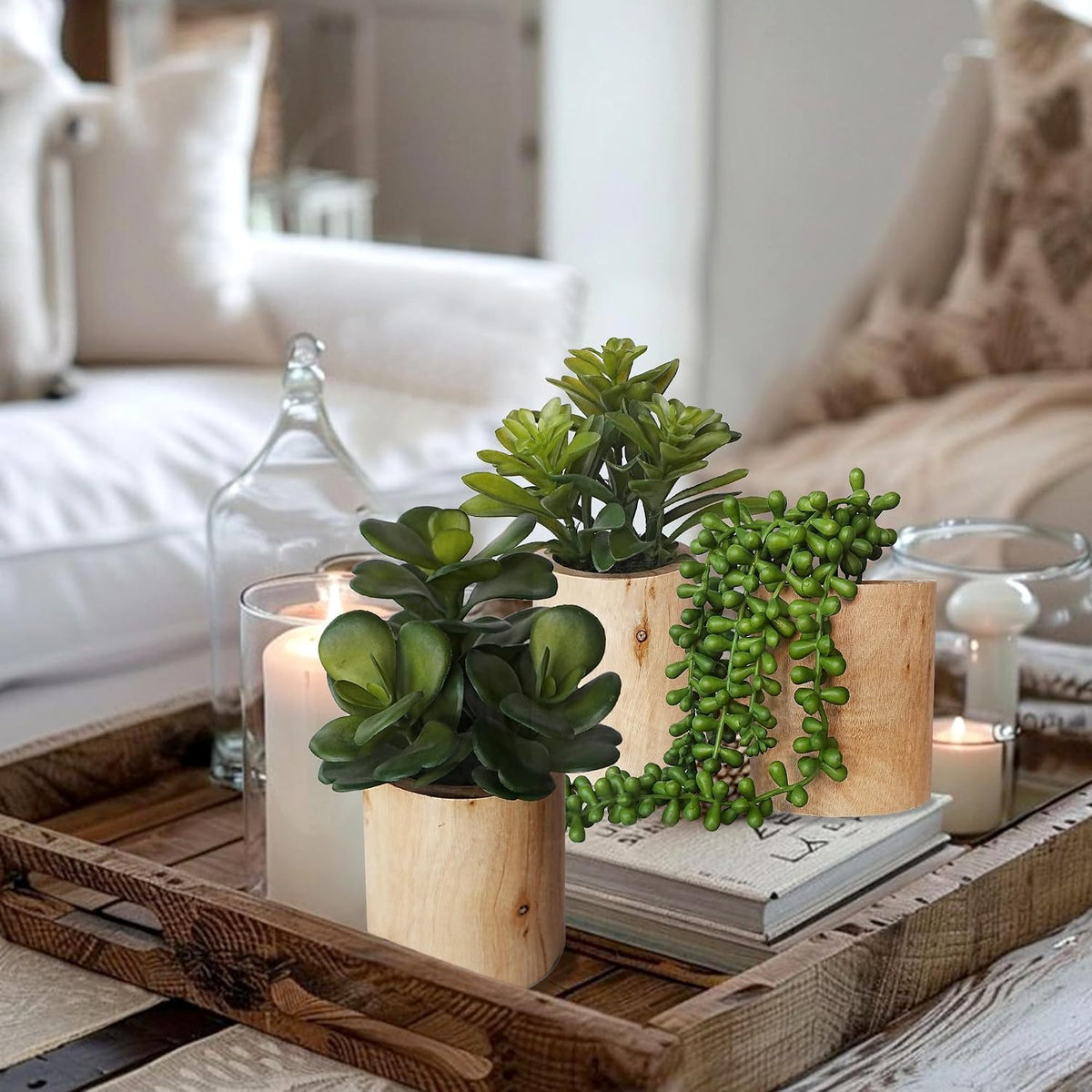 Artificial Succulents Plastic Artificial Green Plant for Office, Fake Succulents for Home Decoration (Set of 2 Succlents in Pots)