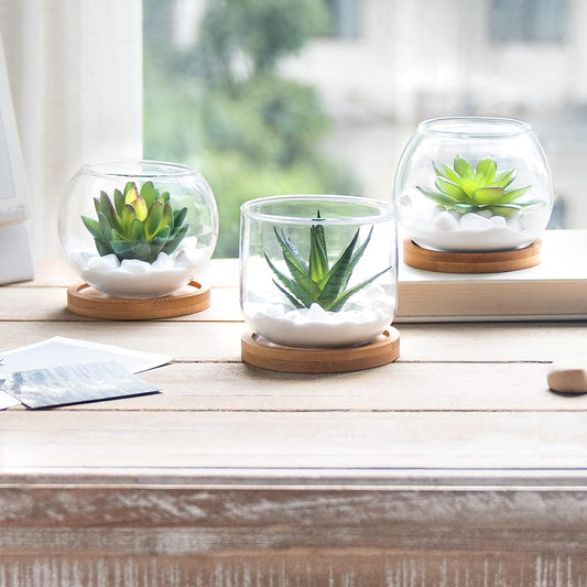 Artificial Succulent in Clear Glass Pot, 3 Mini Potted Fake Plants for Women Office Decor Small Faux Green Plant with BambooTray for Bookshelf Bathroom Kitchen Tabletop Centerpiece