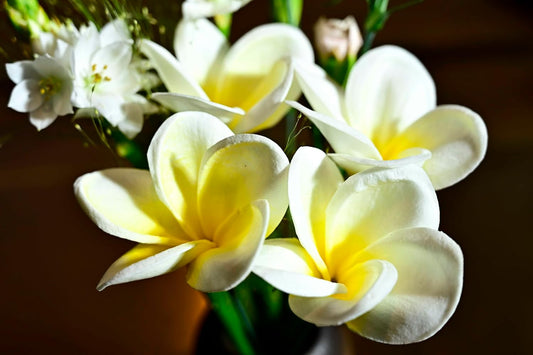 Birthday Gifts for Women 10pcs Gradient Yellow Flowers PU Real Touch Flowers Hawaiian Plumeria Frangipani Artificial Flowers for DIY Birthday Gifts Wedding Gifts Home Decor Table Centerpiece