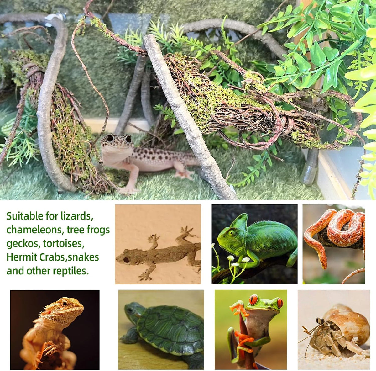 Reptile Plants,Flexible Rainforest Vines with Moss,Bearded Dragon Tank Accessories,Terrarium Hanging Plant Artificial Decor for Hermit Crab,Snake,Geckos,Chameleon,Lizard