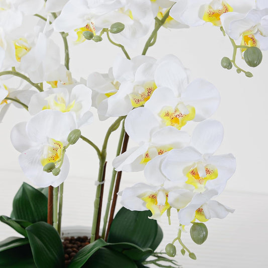 Artificial Orchid Flowers & Plants Potted in Ceramic Pot, White Faux Phalaenopsis Orchids for Table Centerpiece, Realistic Fake Flower Arrangement for Home Office Decor Indoor
