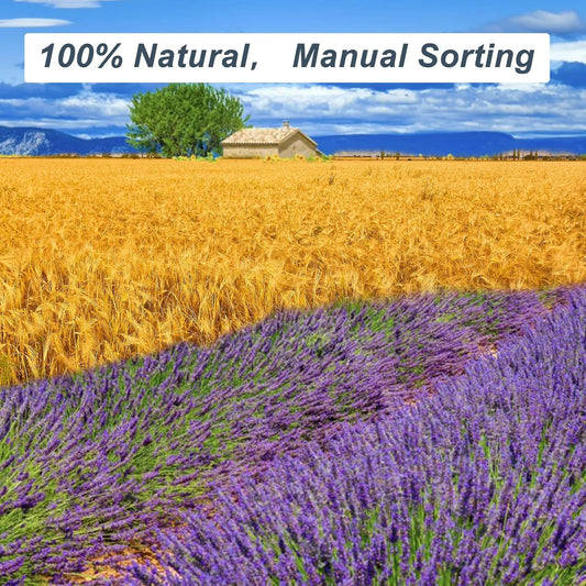 2 Pack Dried Lavender & Wheat Flowers Bundle, 17'' White and Blue Flowers