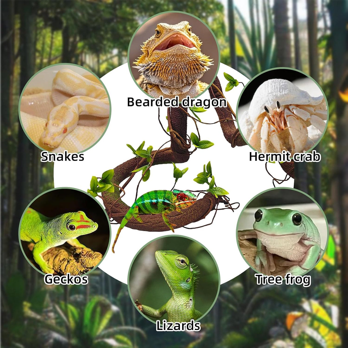 Reptile Jungle Vines Flexible Bend-A-Branch, 3.6Ft Reptile Climbing Branches, Chameleon Flexible Vine Decor,Terrarium Plants Decoration Accessories for Lizard Gecko Frog Snake