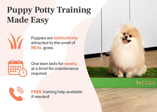 Real Grass Dog Pee Pads - Standard Dog Potty Pad 24x16