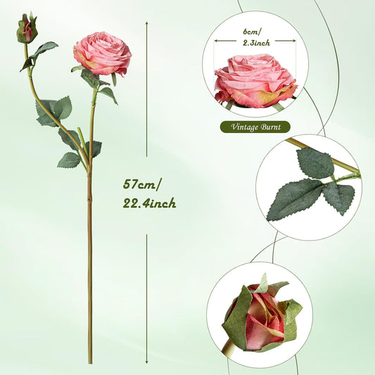 Artificial Rose Flowers Realistic Silk Burnt Edge Vintage Rose with Long Stem for Home Bridal Wedding Party Floral Bouquets Decoration (10Pcs, White)