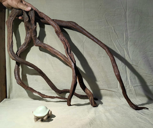 Aquarium Driftwood Branches,2.2lb 9-14inch Long Driftwood for Aquarium Reptile Driftwood Branches Log Natural Driftwood for Aquarium Reptile Branches