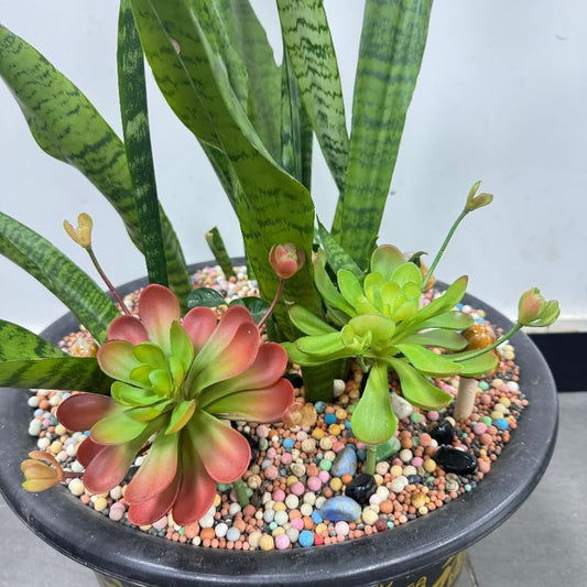 3 Pieces Artificial Cactus Plants Outdoor,Mini Fake Succulents,Plastic Plant Mini Cactus Christmas Tree for Bathroom Decorations,Kitchen Bouquet Garden & Outdoor Home Décor (Wispy)