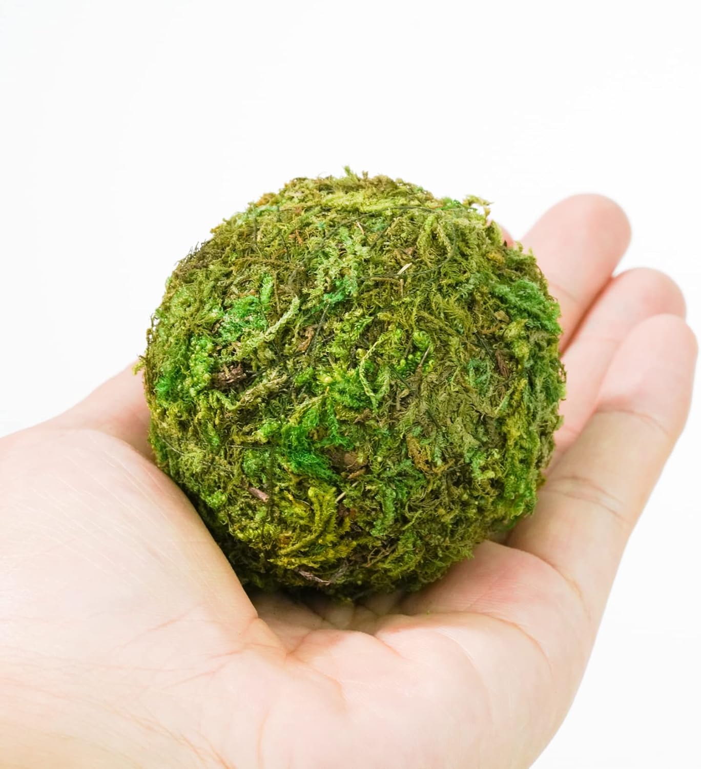6pcs Natural Green Moss Decorative Ball,Natural Green Moss Balls Handmade Decorative Hanging Balls for Garden Patio Home Table Decor Party Weddings Display Props Decor (Green, 6)