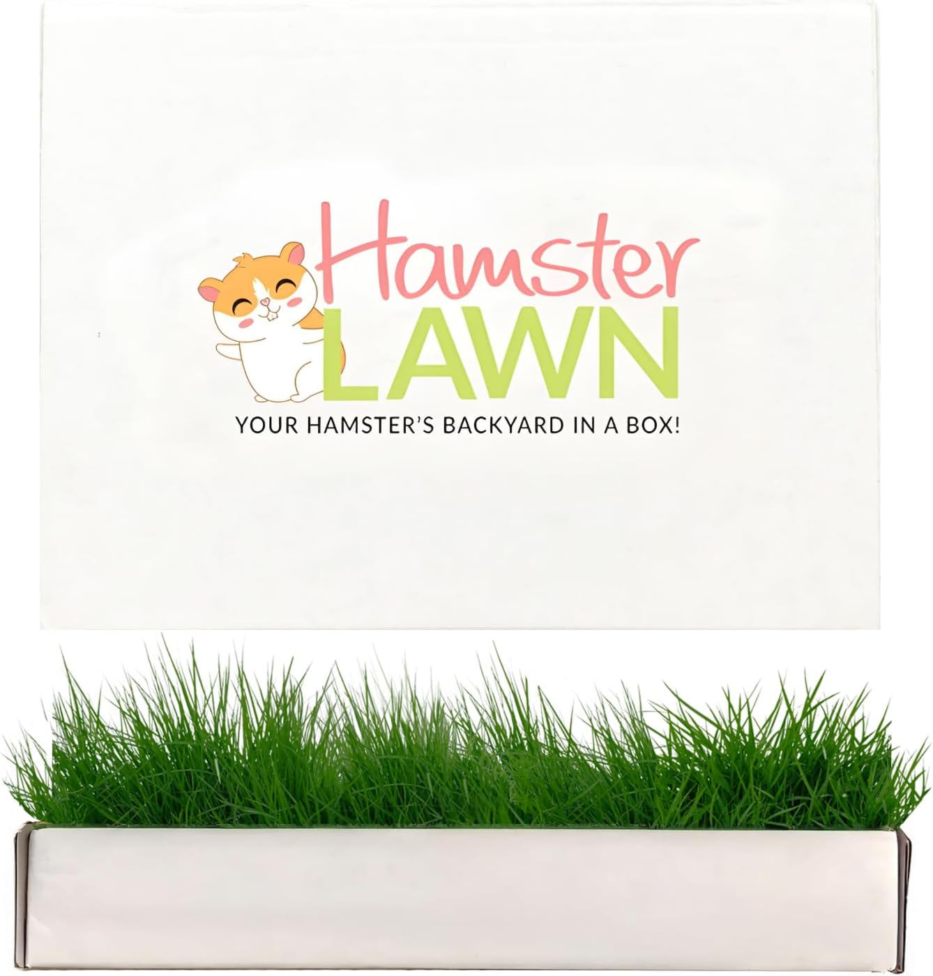 Natural Grass Mat for Small Pets - Fresh Real Grass Bed - Indoor/Outdoor Lounging Pad for Hamsters, Guinea Pigs & Other Small Animals - Disposable, Natural (Grande)