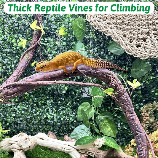 Extra Large Reptile Vines Thick Terrarium Plants 78 Inches Long Flexible Climbing Branch with Leaves Snake Tank Accessories Greenery Habitat Decor for Bearded Dragon Chameleon Gecko Lizard