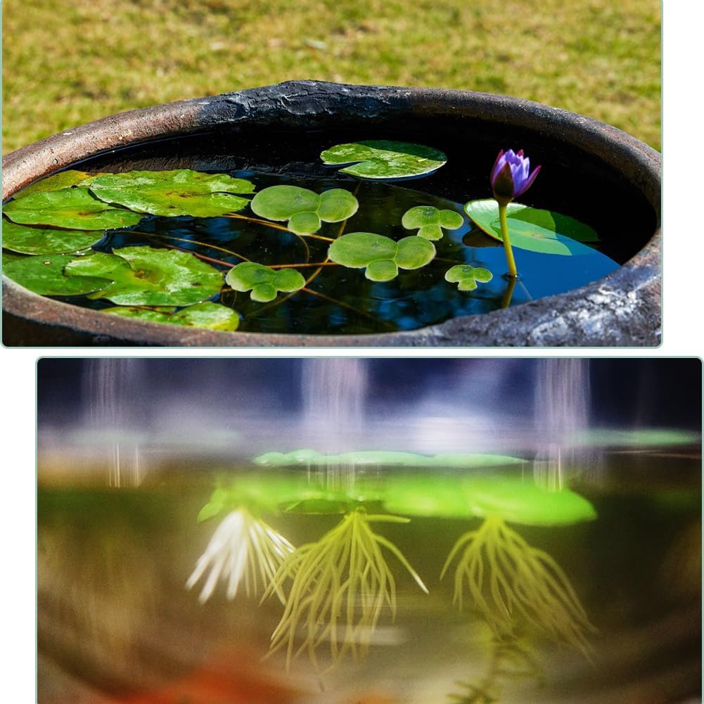 90PCS 3 Sizes Artificial Floating Duckweed Plastic Aquarium Floating Plant Artificial Floatings Plants Fish Tank Plant Simulation Floatings Plants for Fish Tank Aquariums