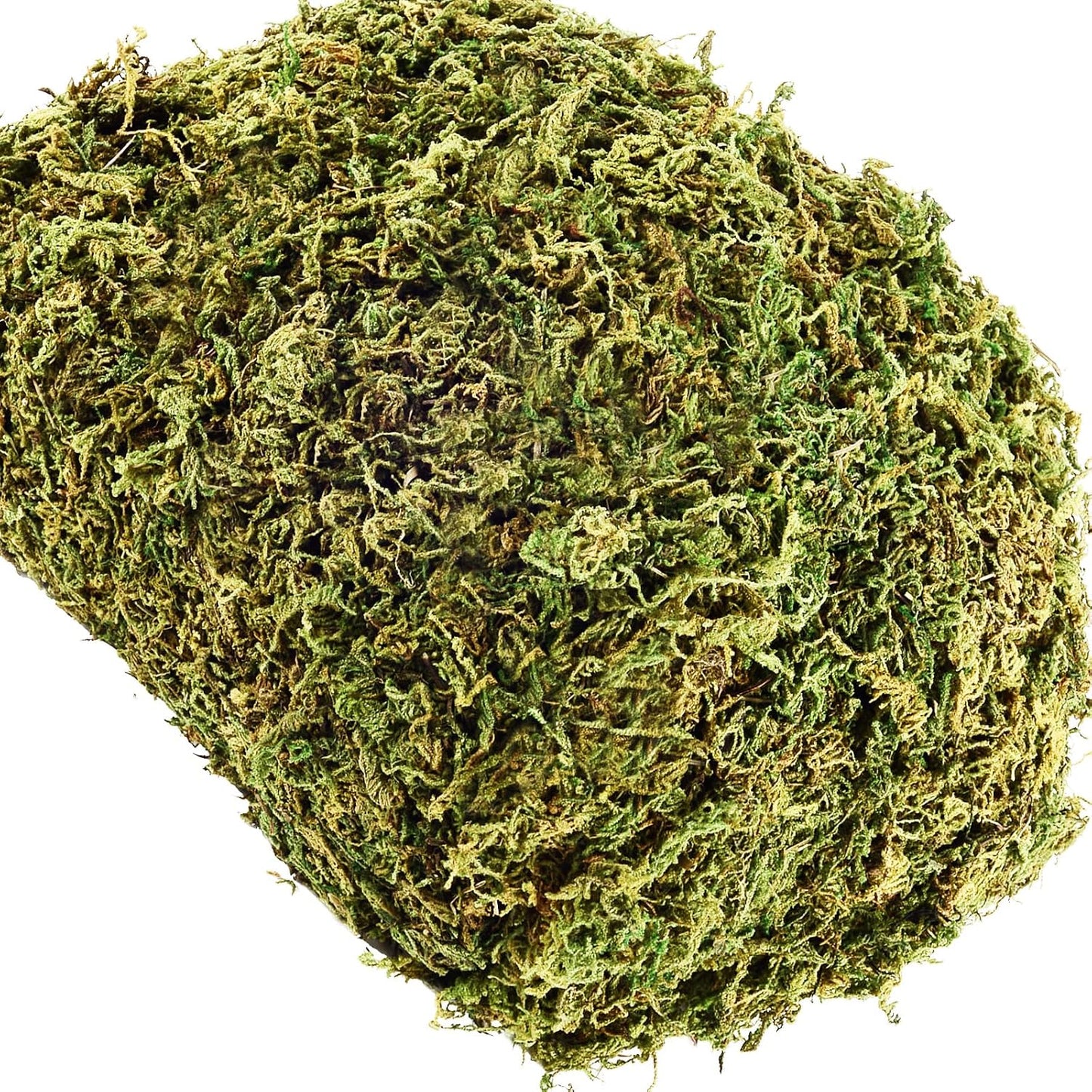 10.2 OZ Fake Moss for Potted Plants & Fake Plants - Artificial Faux Moss for Planters & Craft