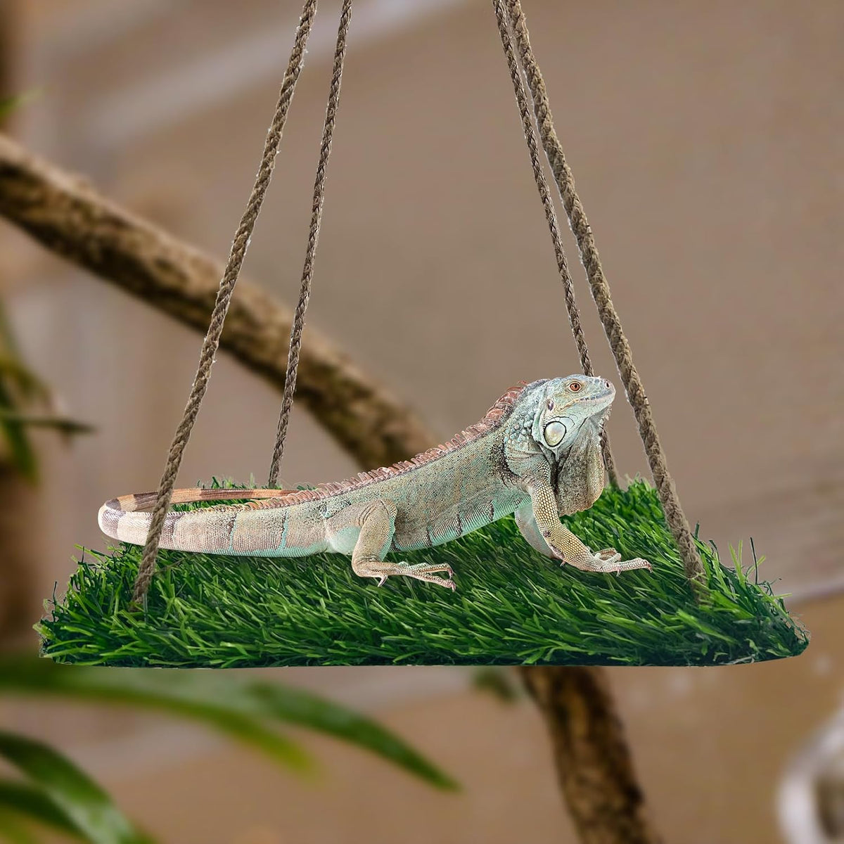 Large Green Bearded Dragon Hammock, Soft Reptile Lounger Terrarium Hanging Hammock for Hermit Crab, Lizard