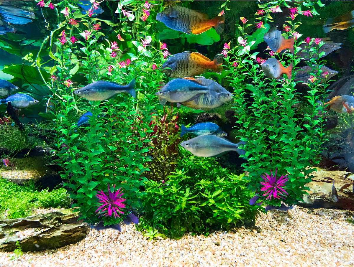 2 pcs Aquarium Decor Plants 21 Inches Extra Large Artificial Plastic Fish Tank Plants with Flowers, Tall Fish Tank Decoration for Betta Fish Tank