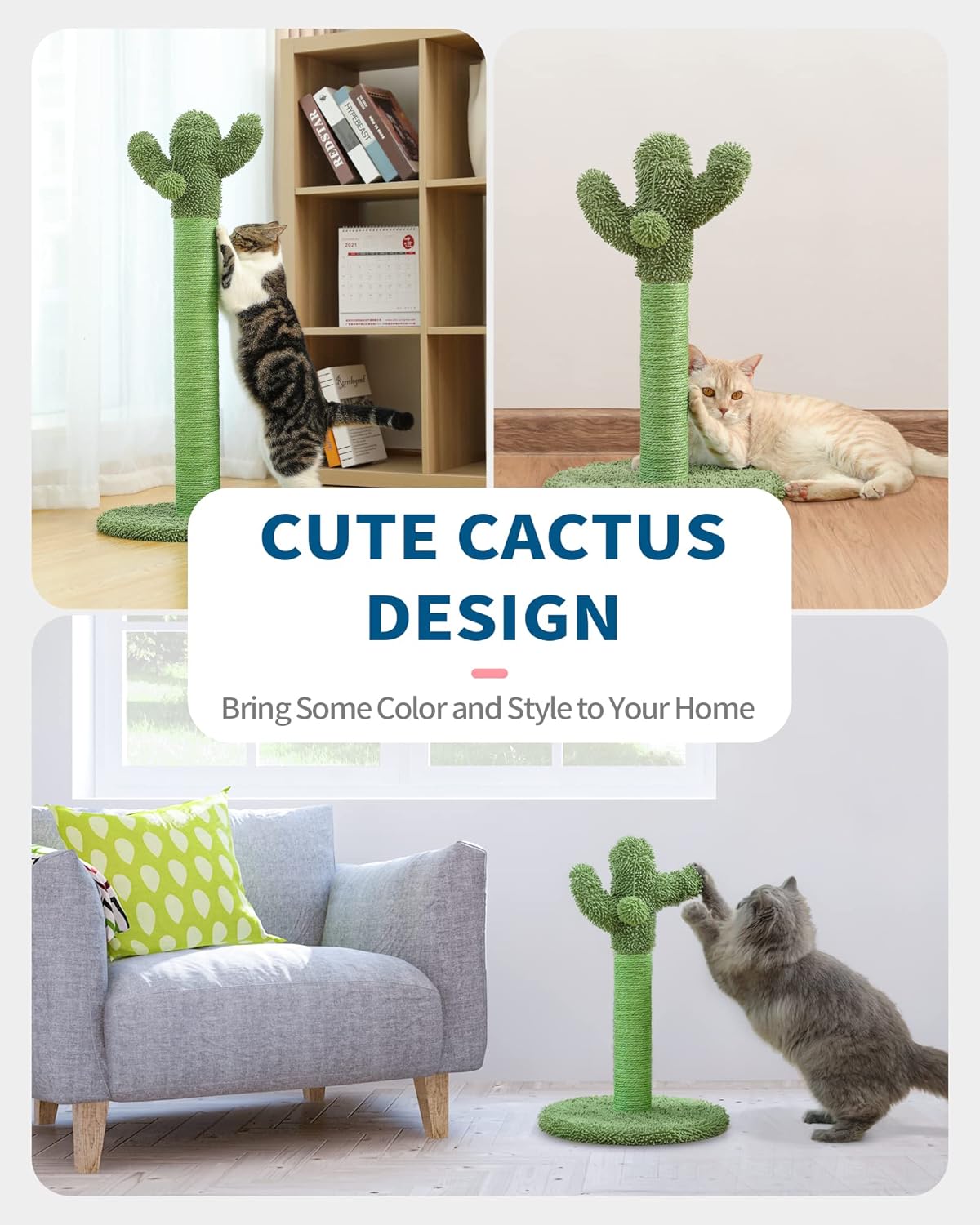 Cactus Cat Scratching Post for Small Indoor Cats & Kittens, 21.7"