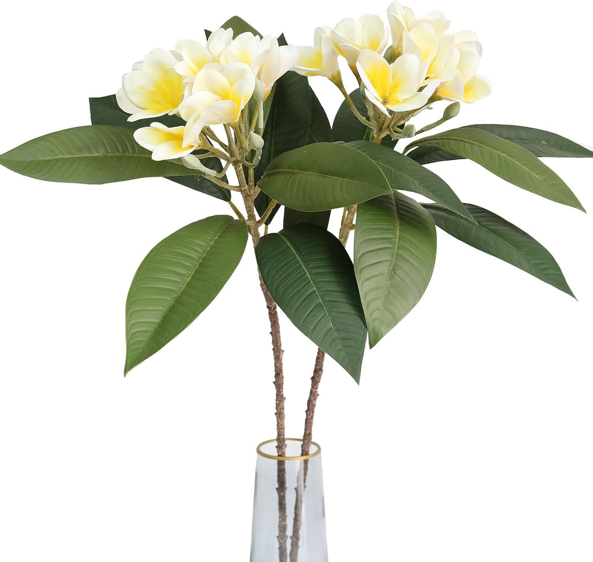 2PCS Artificial Plumeria Frangipani Flower Long Stem Real Touch Lifelike for Wedding Home Party Autumn Flowers Decoration (70CM, Beige)