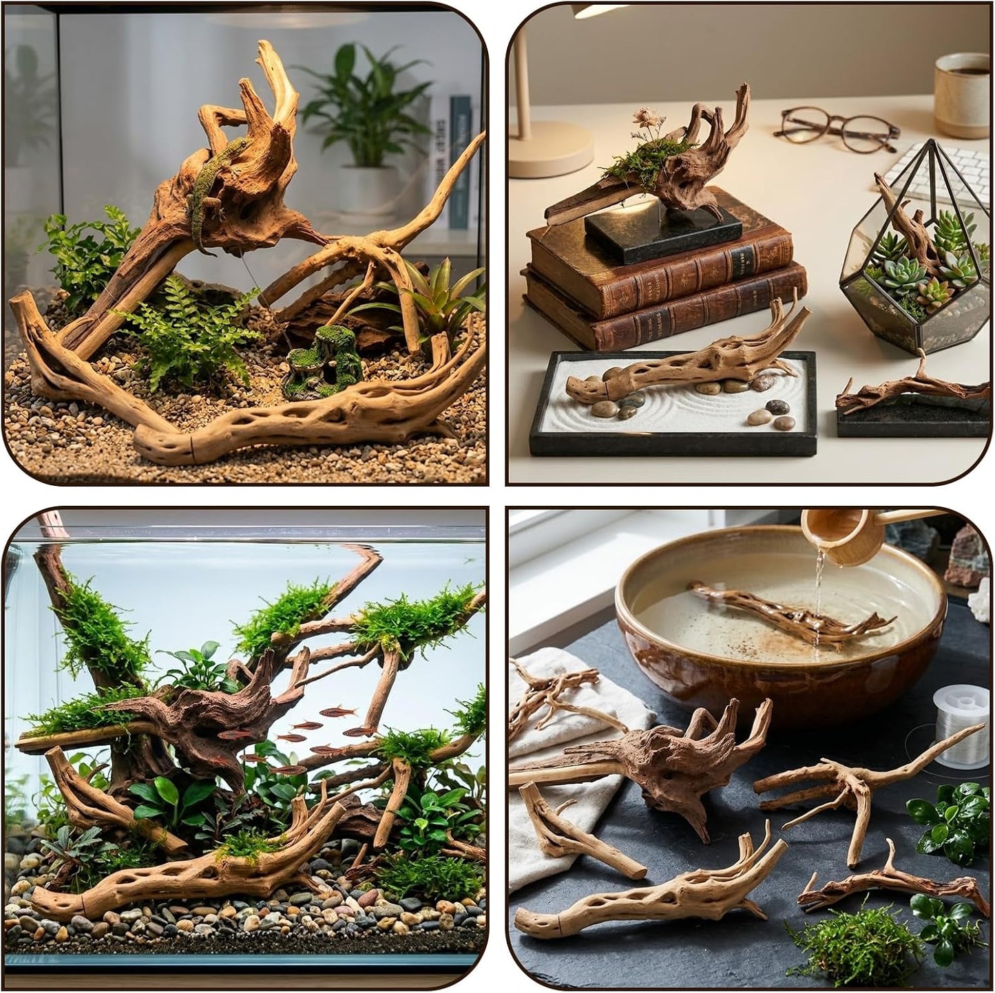8-Pack Natural Driftwood, Sinkable Spider Wood (3.15''-4'') | Assorted Shapes Drift Wood, Aquarium Decor, Reptile Terrarium & Fish Tank Wood Branches Decoration
