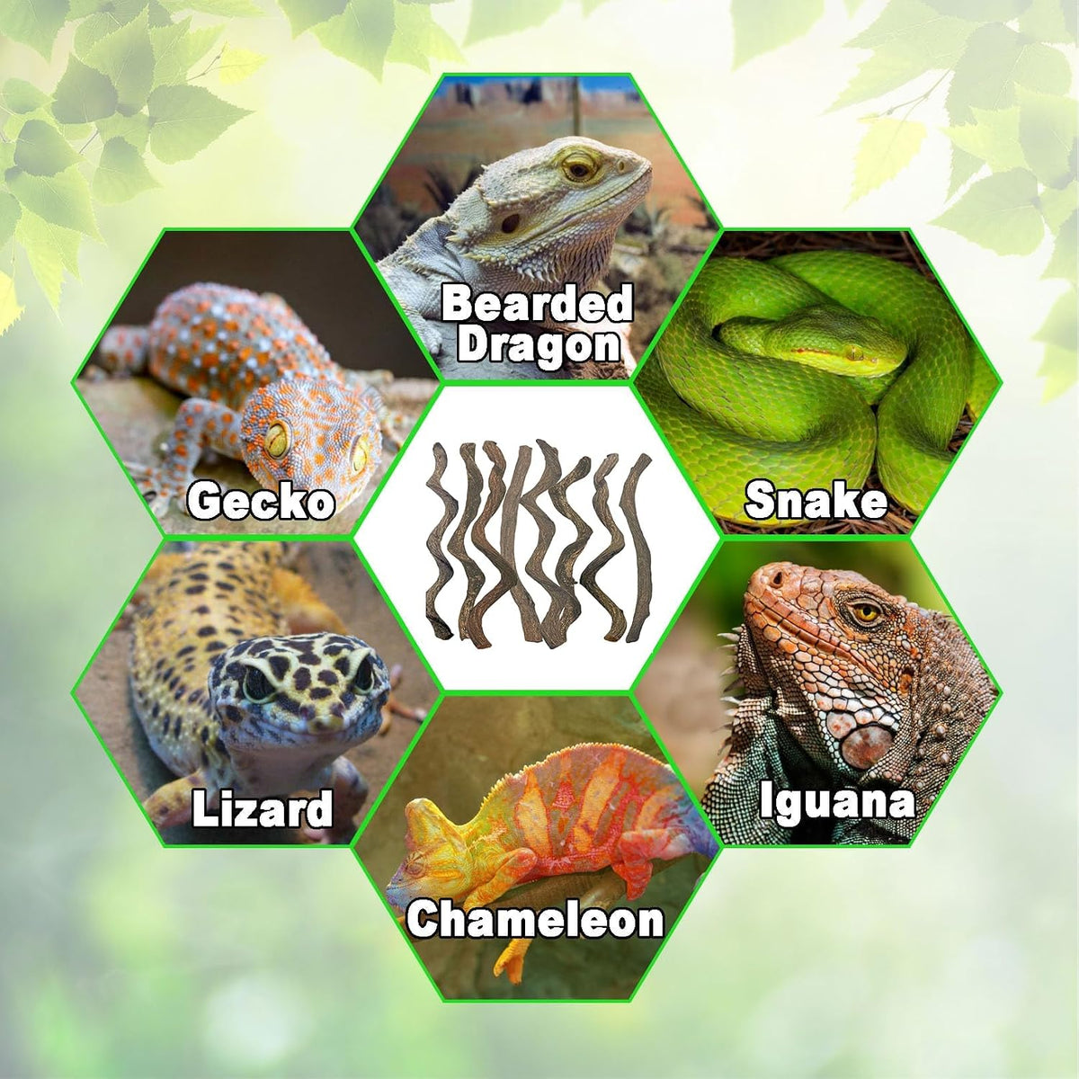 Reptile Decor Natural Forest Branch Terrarium Habitat Decoration Lizard Climbing Tree Branch for Bearded Dragon Gecko Snake Frog Chameleon Spider