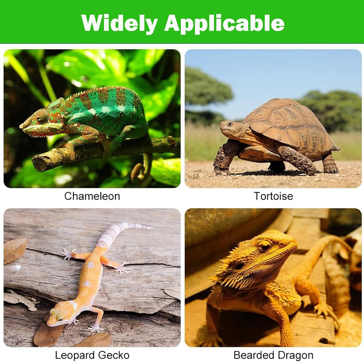Bearded Dragon Tank Accessories Non-Adhesive Reptile Carpet Bedding