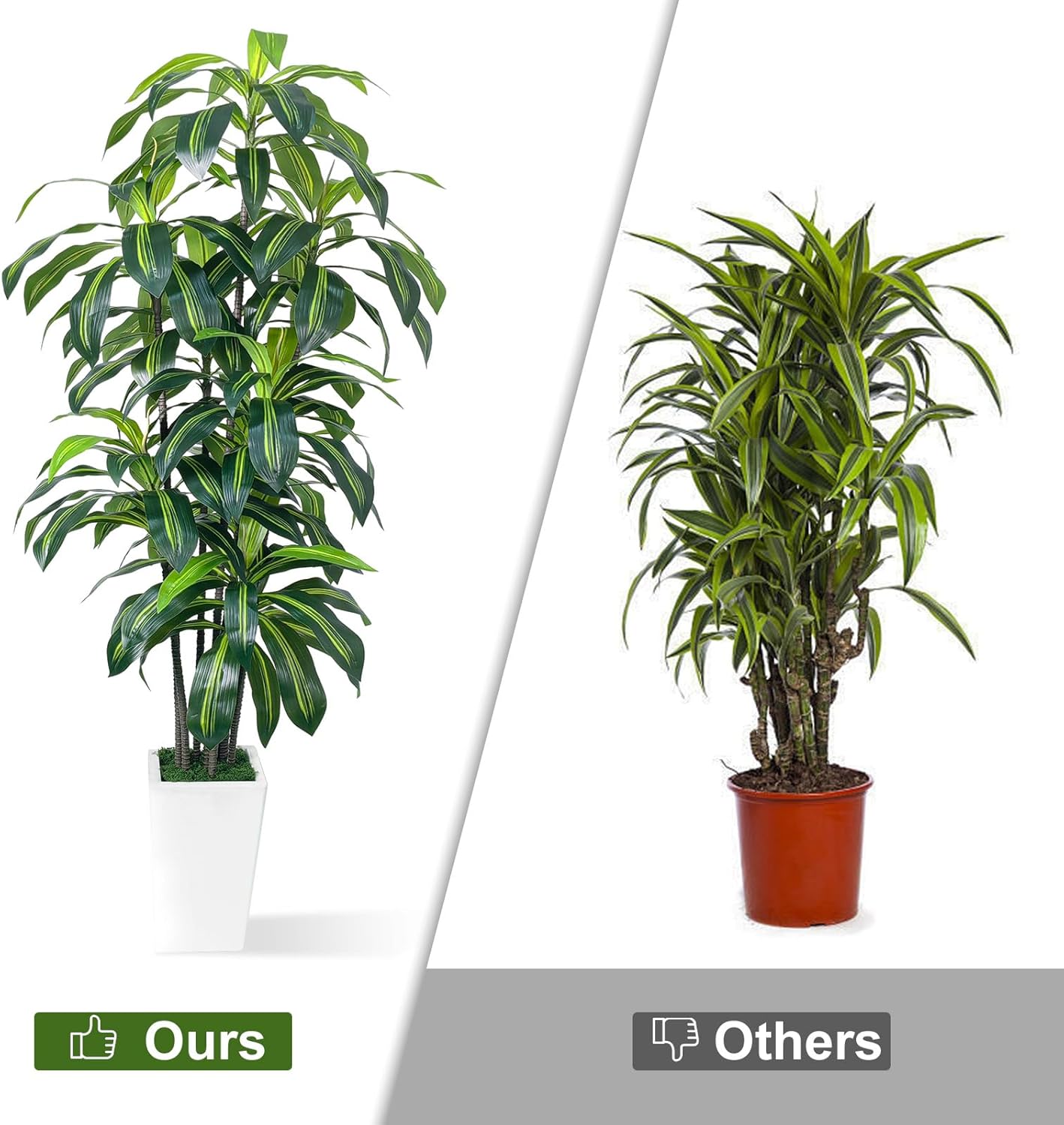 7FT Artificial Dracaena Tree, Fake Tree Indoor with Black Tall Planter,Tall Artificial Plants Indoor,Artificial Silk Tree for Home Office Decor (Black)