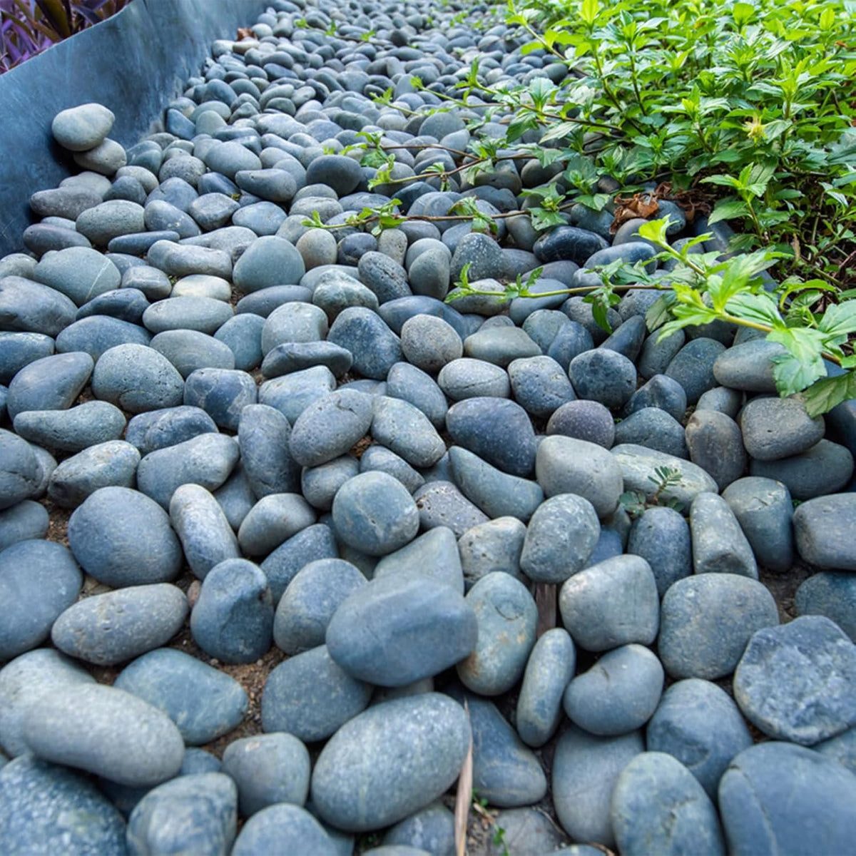 FANTIAN 5 lbs Natural Aquarium Rocks, 2-3 Inch River Rocks for Plant