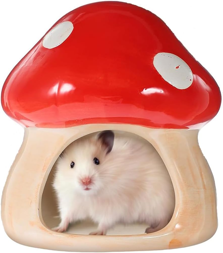 Hamster Hideout, Ceramic Hamster House, Frog Shape Chinchilla Cooling Gerbil House, Small Animal Decoration Cage Accessories