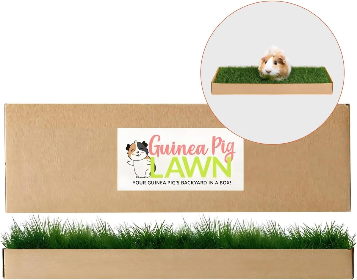 Guinea Pig Pee Pads, Fresh Grass Mat, Hamster Small Pet Bed 12x9
