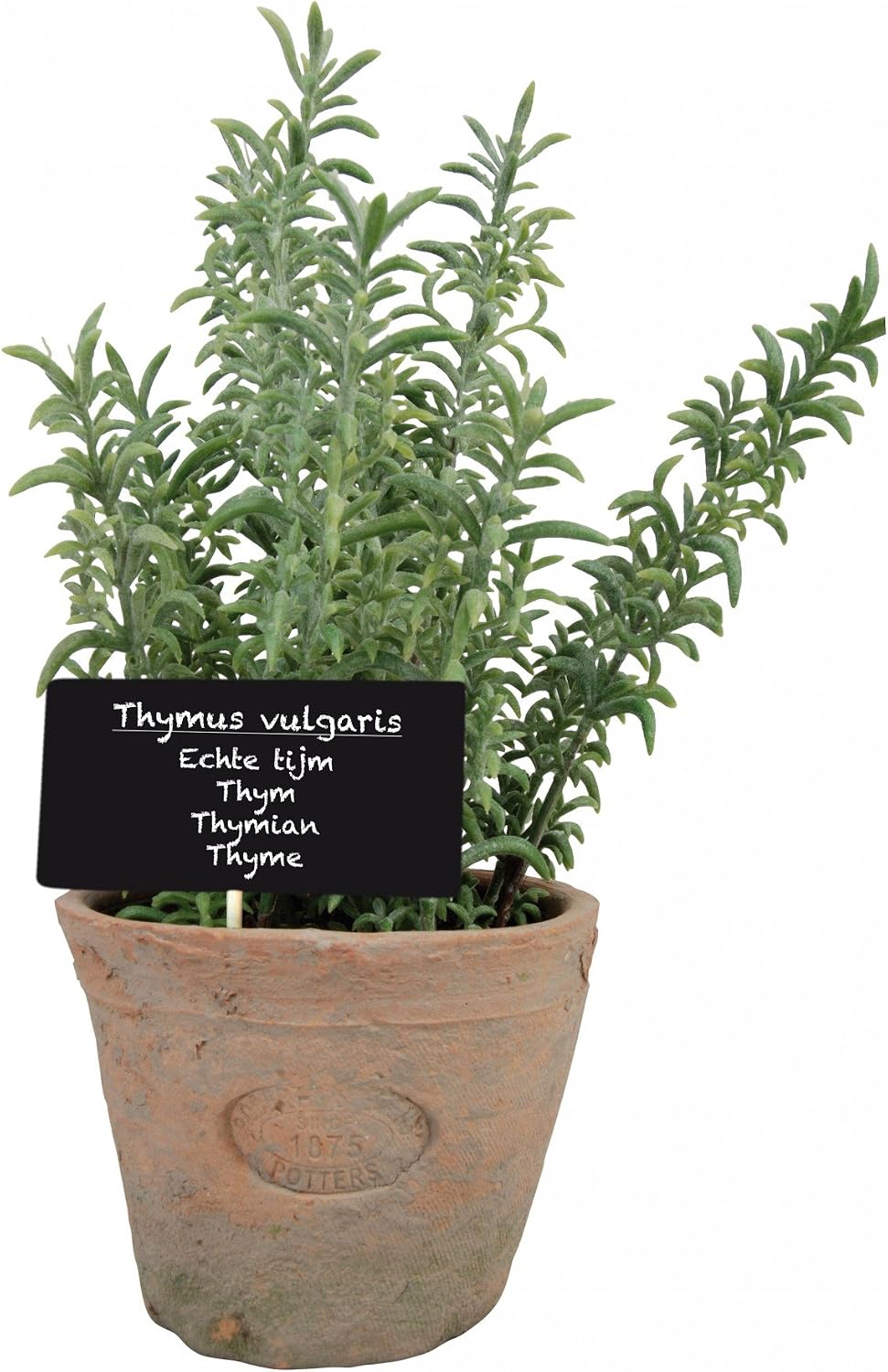 Esschert Design Artificial Herb Plant, Rosemary, Large