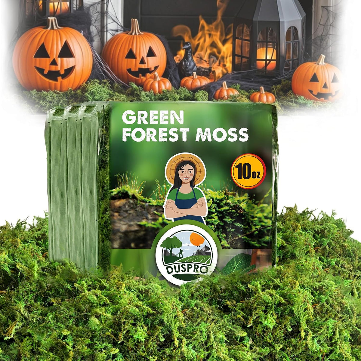 Green Forest Moss for Crafts, Real Dried Decorative Moss, 2 oz
