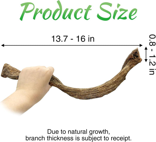 Reptile Branch Decor Snake Climbing Wood Branches Lizard Habitat Decorations Terrarium Natural Forest Tree Trunk Ornament for Bearded Dragon Geckos Chameleon Frog - S