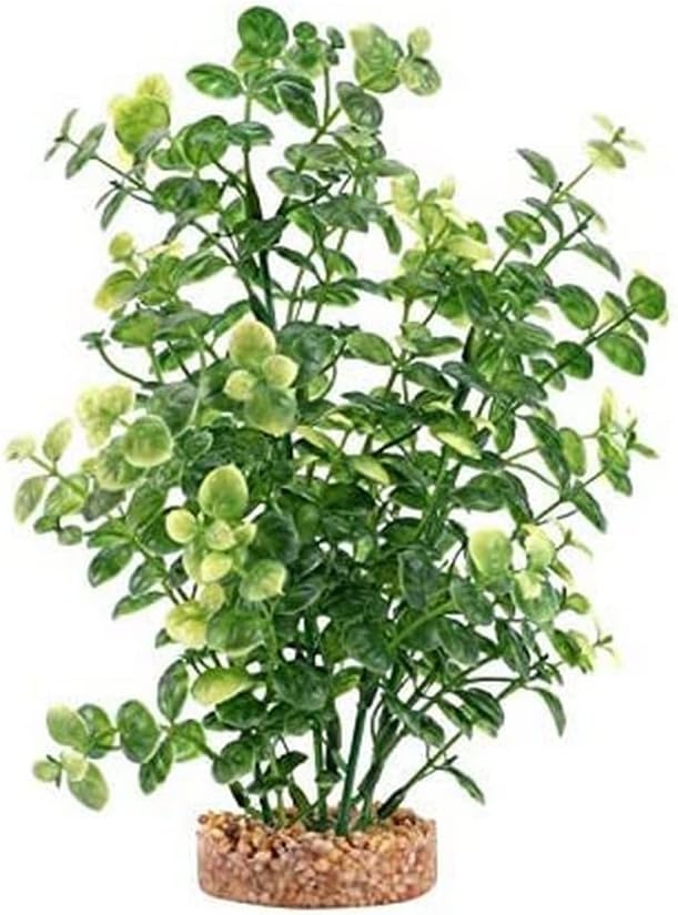 Aqualife Green Bacopa Plant, Plastic Aquarium Plant Decoration 8 in
