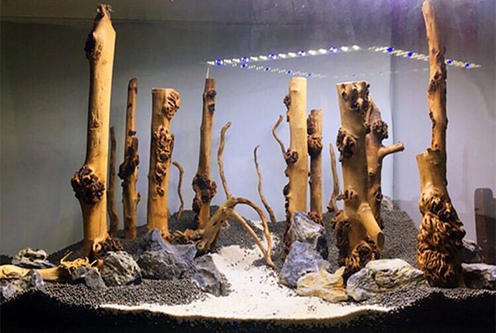 Reptile Décor Natural Forest Branch Terrarium Wood Aquarium Ornament, 4 Pack