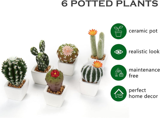 Small Artificial Cactus Plants in Ceramic Pots 6 Pcs Potted Fake Cactus