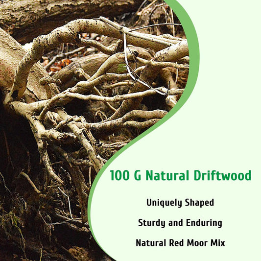 Natural Driftwood for Aquarium, Red Moor Driftwood Mix 12''-16'' Long Driftwood for Decorations Aquarium Driftwood Assorted Shapes Natural Aquarium Decor Driftwood(100g,Delicate Branches)