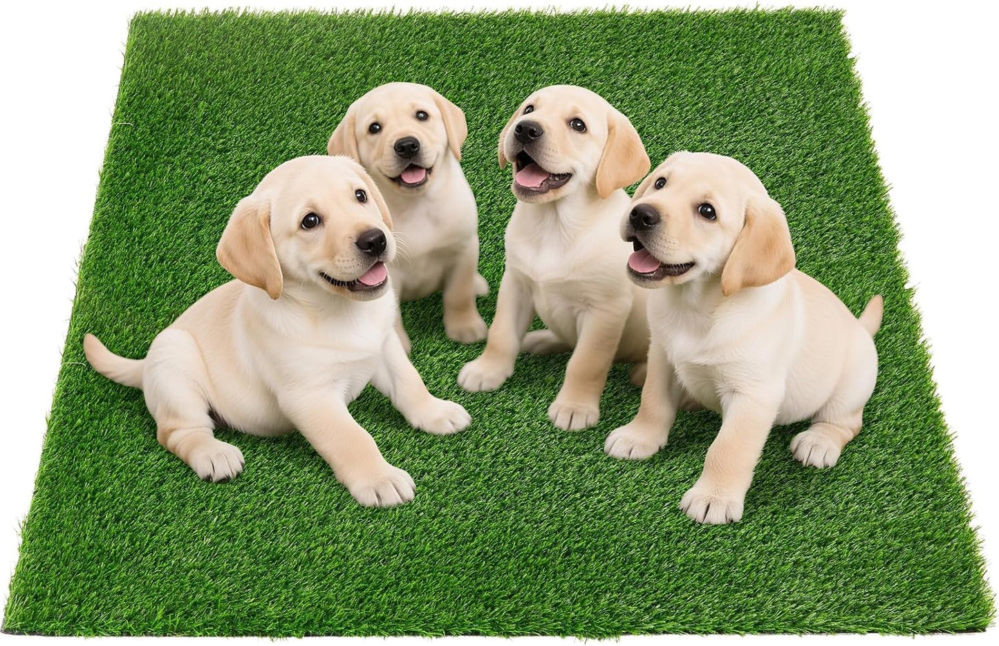 Artificial Pee Grass Pad for Dogs, Fake Grass Replacement Pads for Dog Potty Tray Training Pet Turf, Indoor and Outdoor Mat- 2 Packs (14" x 18")