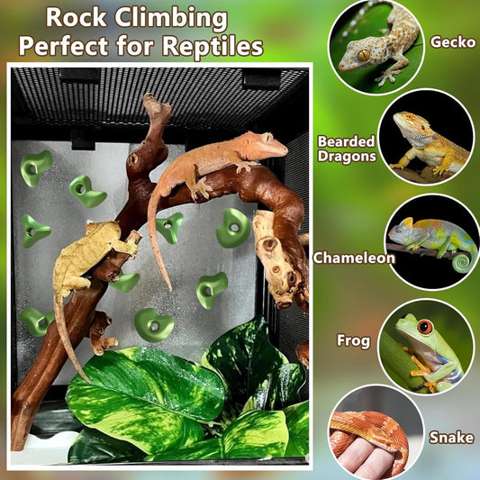 Mushroom Terrarium Decor & Climbing Hold Kit,with 12 Rock Holds, Suction Cups & Adhesive Dots for Geckos, Frogs, Small Lizards & Snakes in Dry/Semi-Moist Habitats (Desert Beige)
