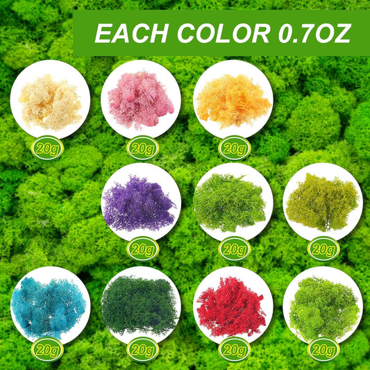 7 Oz Colored Fake Moss Preserved for Crafts Artificial Decorative Moss Faux Garden Dried Floral Forest for Terrariums Wall Decor Fairy Gardens Wedding Floral Project(Mixed Color)