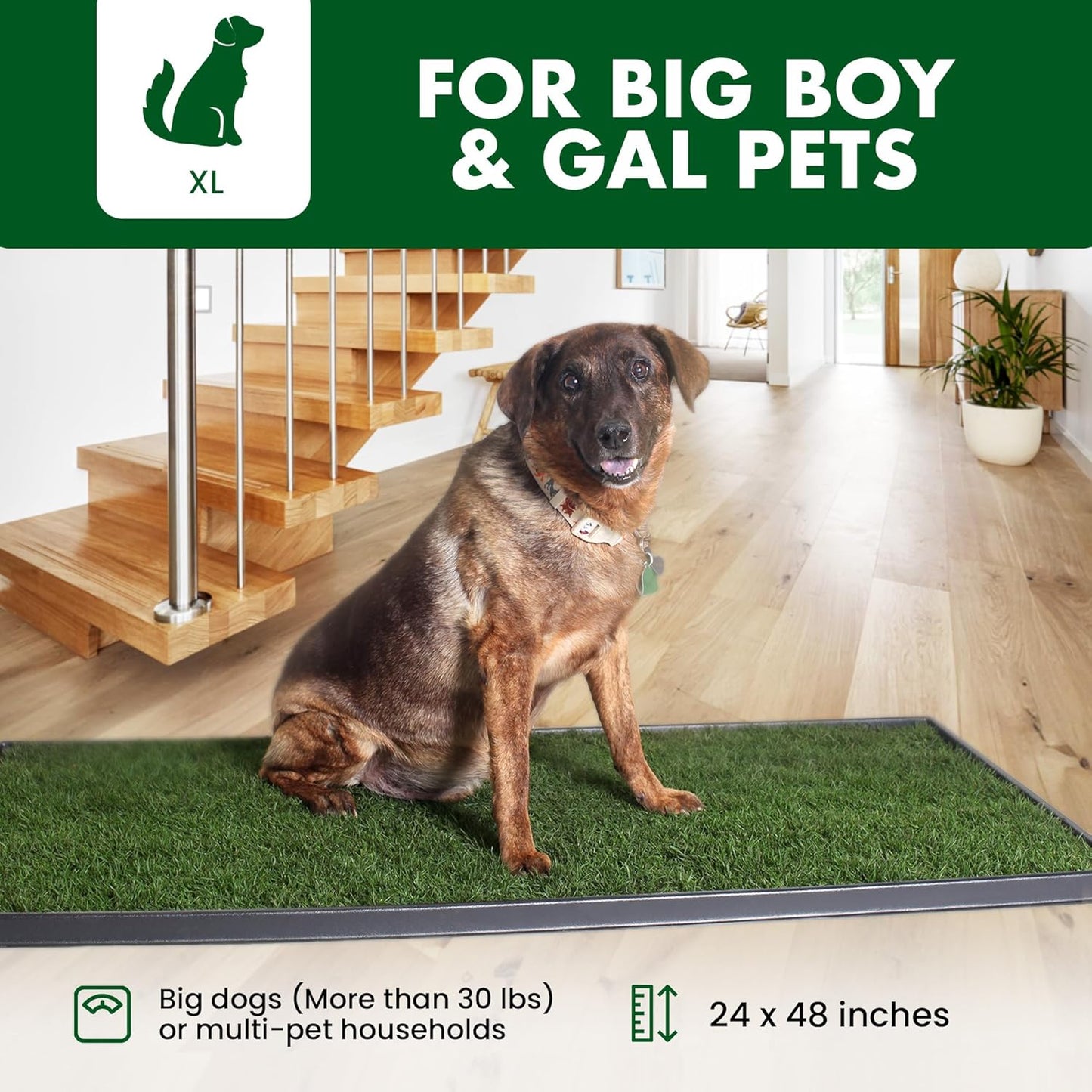 Real Grass Patch for Dogs, Cats, and Small-Medium Pets Under 15 Pounds – Disposable Pet Grass Pee Pads – Indoor and Outdoor Potty Training Mat (16 Inches x 24 Inches)
