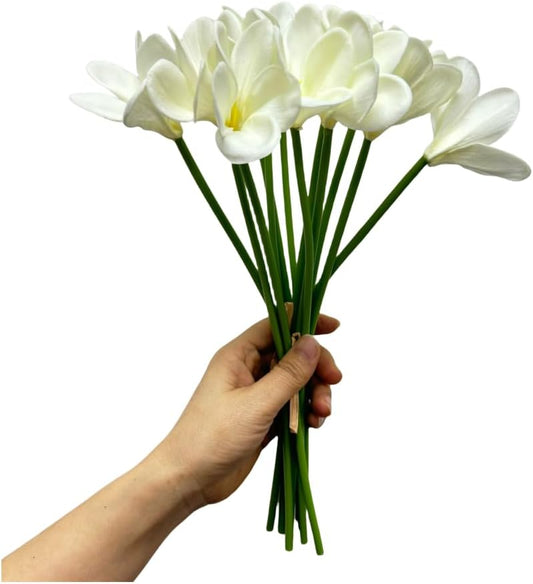 10 pcs White Artificial Plumeria Flowers with Stems, Real Touch,13inch