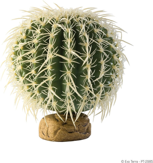 Barrel Cactus Terrarium Plant, Small