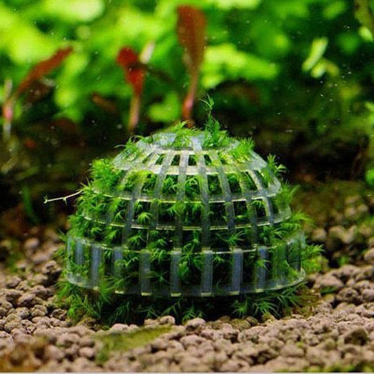 2 Pack Aquarium Moss Ball Holder, Hollow-Designed Plastic Plant Holder with Filter Stone for Shrimp & Fish Tank Decorations
