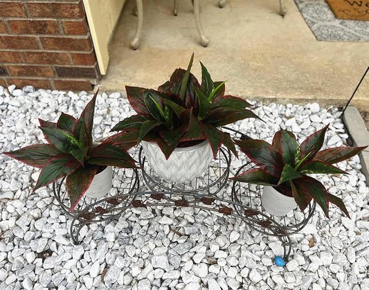 Artificial Shrubs Leaves, Plastic Plants Fern Grass Leaf Fake Bushes Indoor Outdoor Garden Office Table Centerpieces Arrangements DIY Wreath Decoration Planter Filler - 10 Pack - Colors B