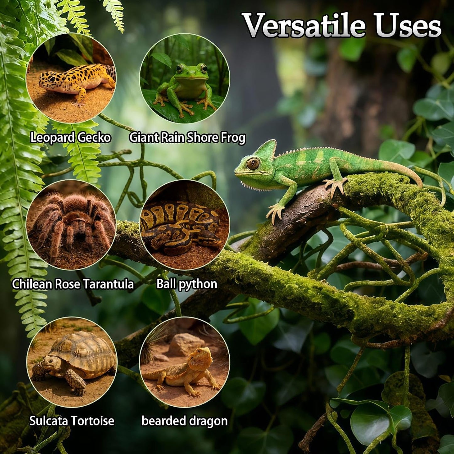 8 Pcs Reptile Plants for Terrarium Bearded Dragon Tank Accessories Artificial Hanging Reptile Vine Jungle Climbing Plant Vines Terrarium Decorations for Snakes Geckos Lizards Chameleons