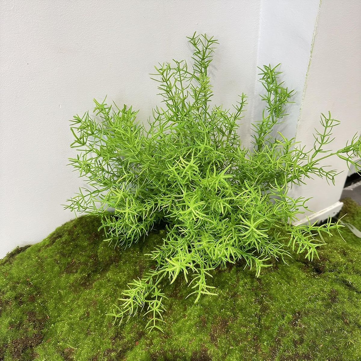 Artificial Radix Asparagi Fern Bush 17.5" Faux Asparagus Fake Rosemary Plants Greenery Stems for Vase Bouquets Home Office Wedding Greenery Decor.