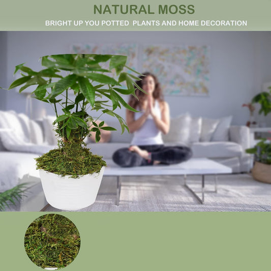 10OZ Fake Moss Artificial Moss for Potted Plants Greenery MossHome Decor Fairy Garden Crafts Wedding Decoration (Fresh Green)